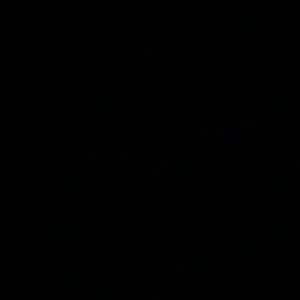 Meet your Posher, Sana